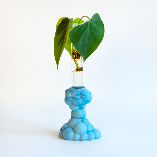 [MOLECULES] Small Bubble Bud Vase + Propagator